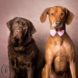 Jasmin & Fritz, geb. 2016