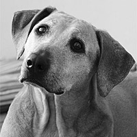Ruby