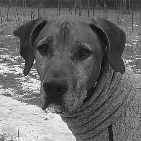 Spike