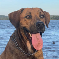 Tyson